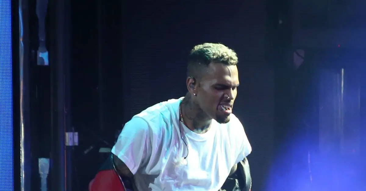Chris Brown Accused Of Smacking Weave Off Woman's Head