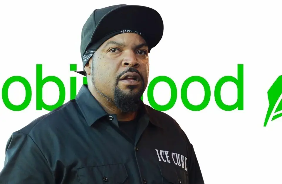 Ice Cube vs Robinhood