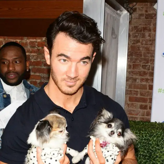 Kevin Jonas