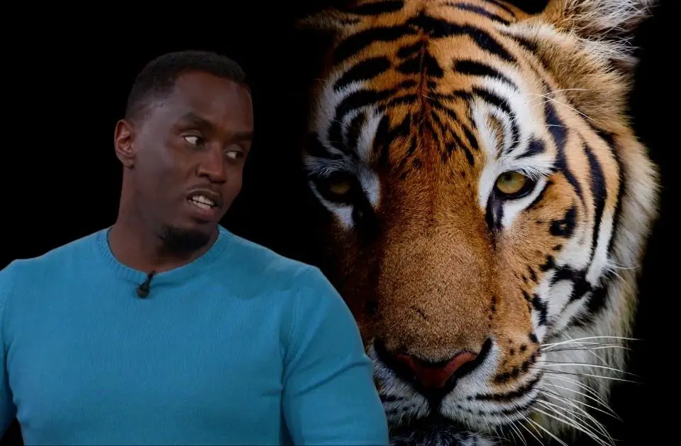 Diddy and Tiger