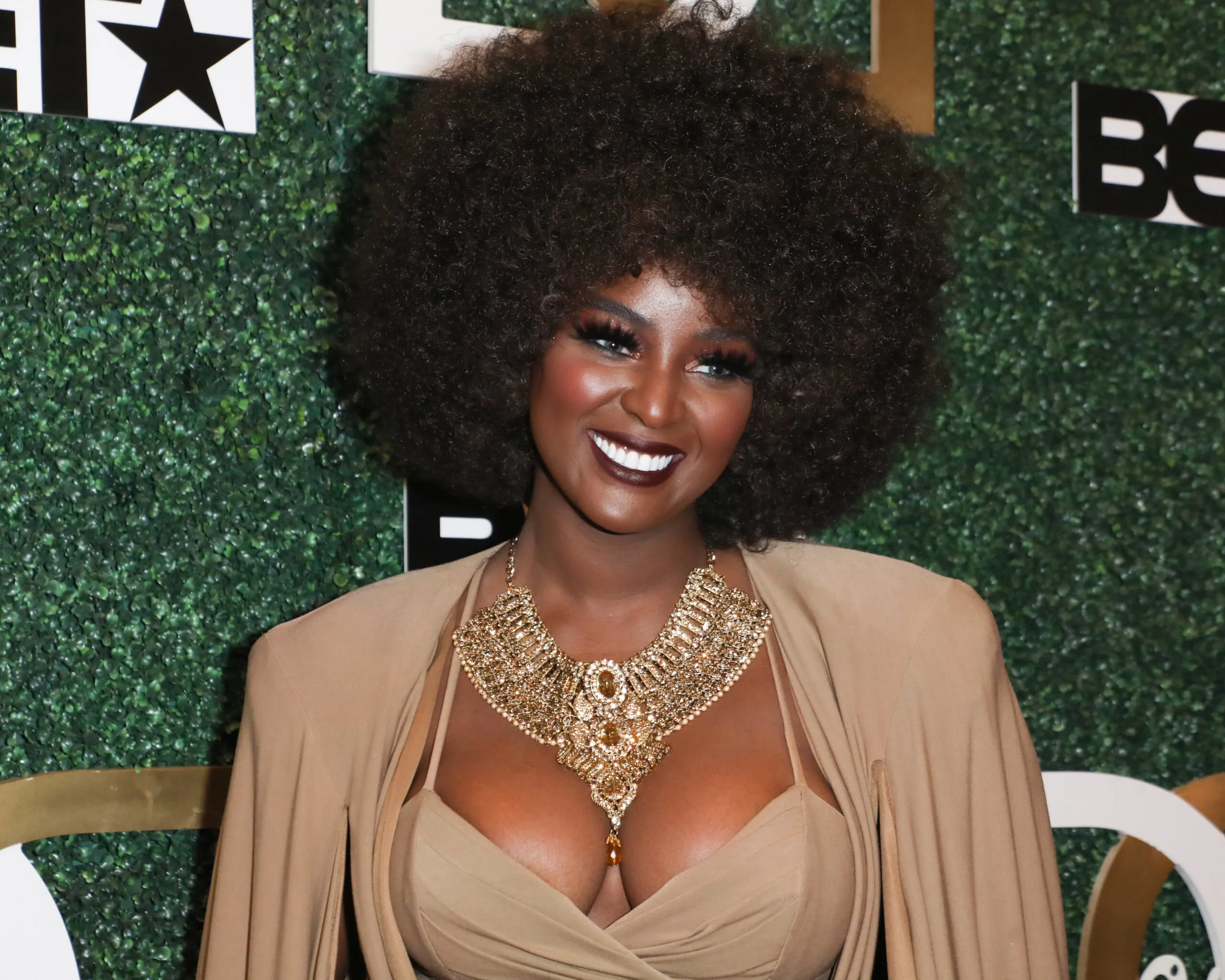 Excited Amara La Negra announces she's pregnant with twins.