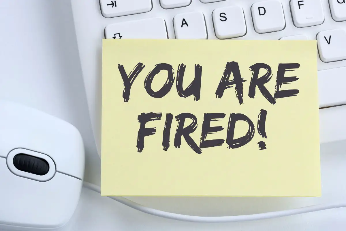 You are fired