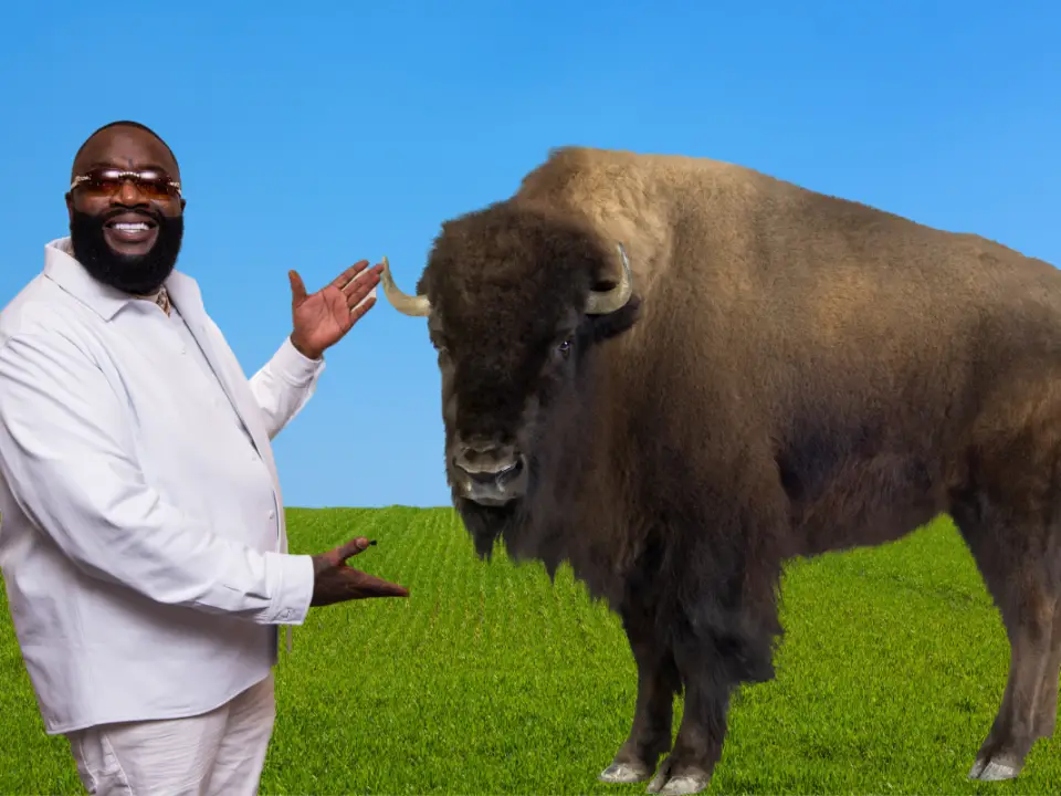 Rick Ross buffalo