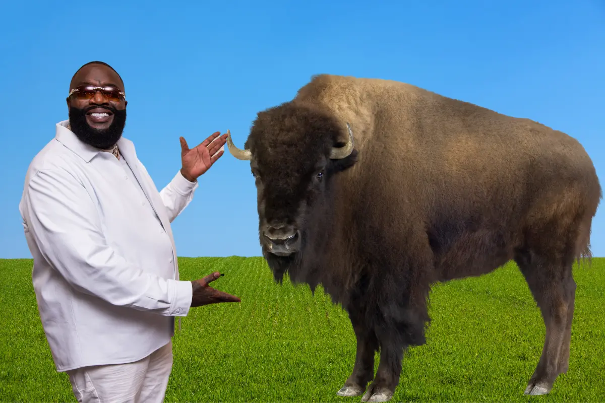 Rick Ross buffalo