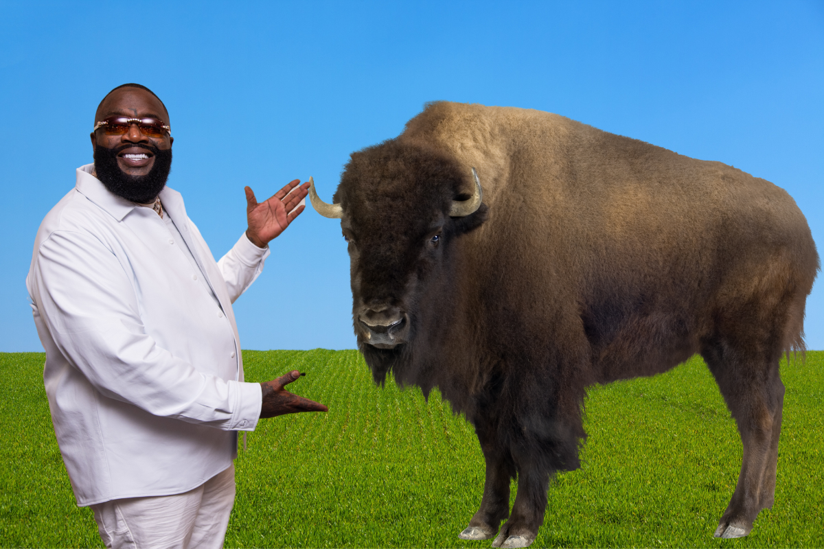 Rick Ross Says “Give It A Carrot” After Buffaloes Escaped Onto Neighbor's  Land - AllHipHop