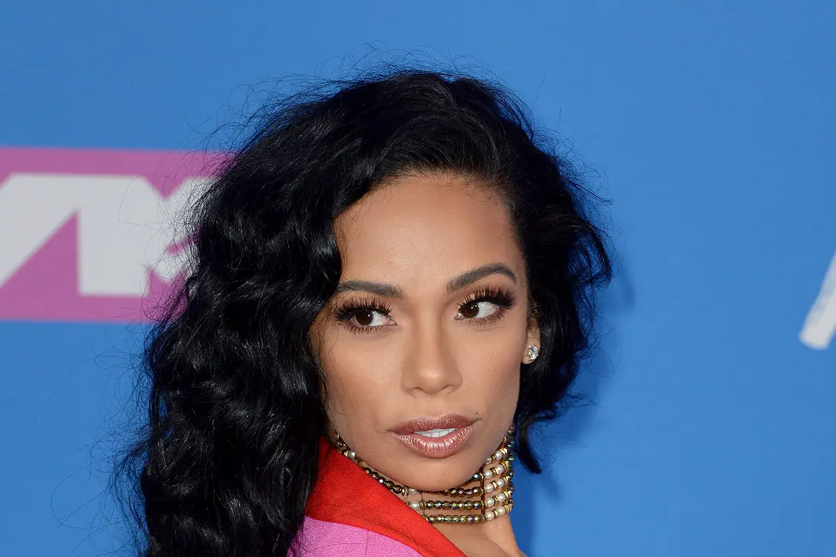 Erica Mena Issues An Apology For Calling Spice A Monkey