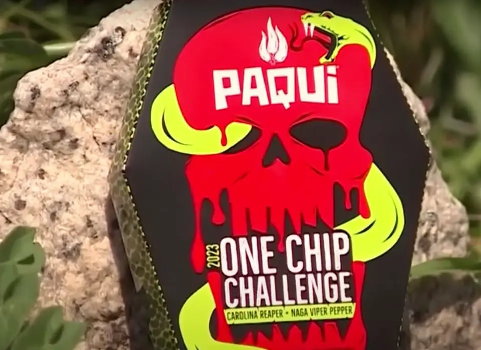 One Chip Challenge