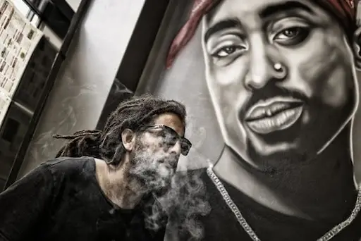 Hip-hop's dynamic cultural evolution