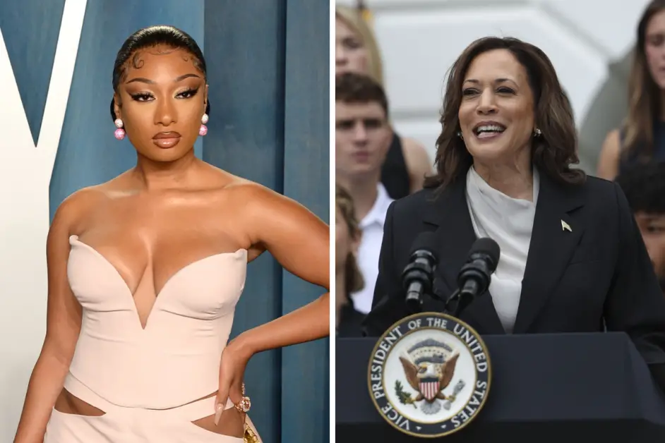 MAGA Men Lose It After Megan Thee Stallion Twerks At Kamala Harris Campaign Rally