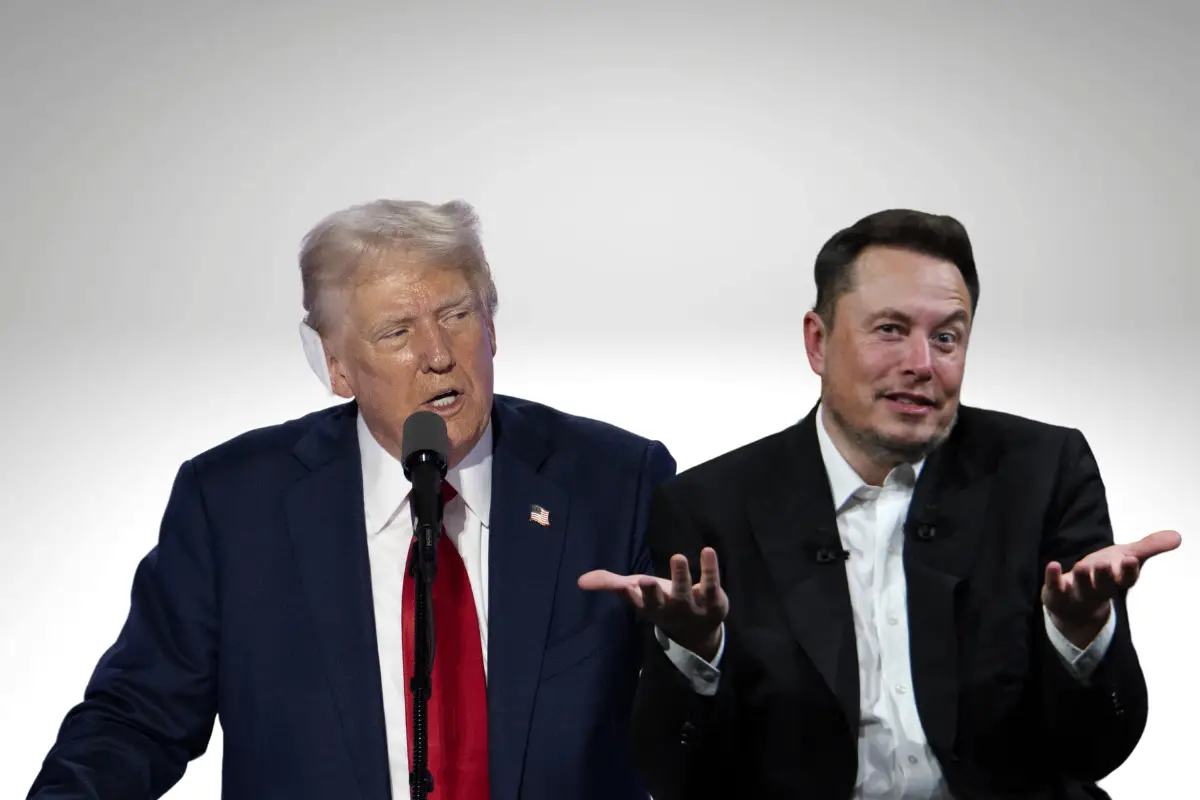 Donald Trump Elon Musk