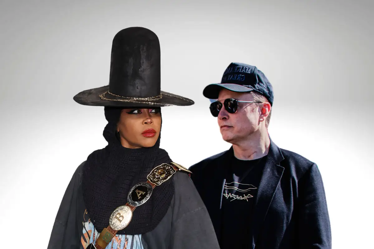 Erykah Badu Elon Musk